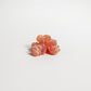Multivitamin Bear Gummies Adult - Organic OTC