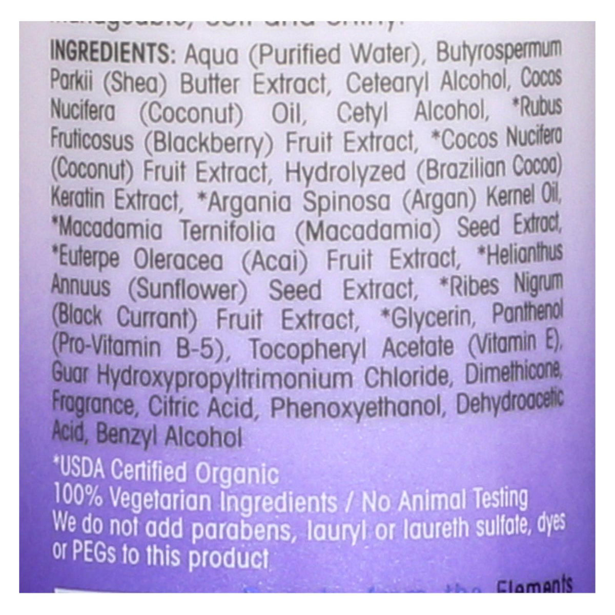 Giovanni Hair Care Products Conditioner - 2chic - Repairing - Leave-in Conditioning And Styling Elixir - Blackberry And Coconut Milk - 4 Oz - 1 Each