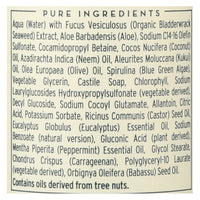 The Seaweed Bath Co Body Wash - Eucalyptus & Peppermint - 12 Fl Oz