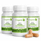 Bee Pearl Bee Bread Supplement Capsules